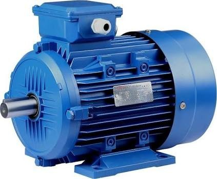 Induction Motor